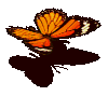 104556.gif