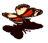 104558.gif