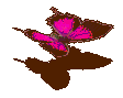 104557.gif