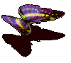 104560.gif