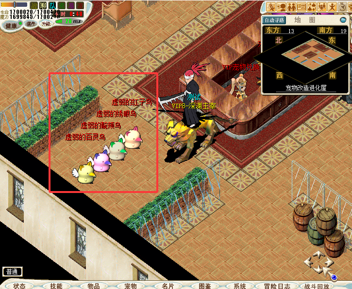 鸟.png